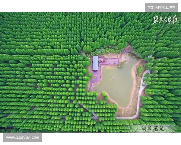 永歌森林探秘必备技巧五大法宝 让你畅游神秘绿海 永歌森林探秘必备技巧五大法宝 让你畅游神秘绿海