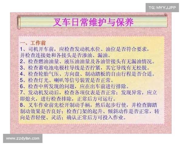 确保人员与公众安全的武器正确存放检查维护与操作指南培训要点 确保人员与公众安全的武器正确存放检查维护与操作指南培训要点